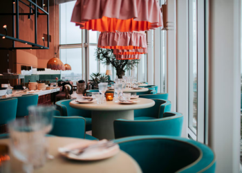 The Dutch Grand Prix with Grand Prix Tours