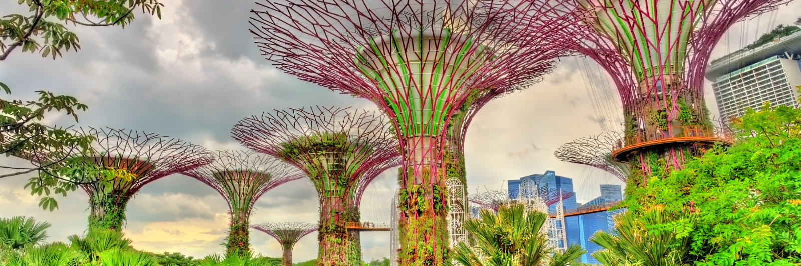 Singapore Grand Prix with Grand Prix Tours.