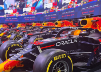 The 6 Hours of Silverstone with Grand Prix Tours.